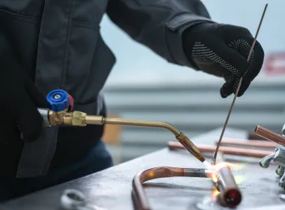 brasure à Saint-Germain-du-Puy près de Bourges dans le Cher 18
